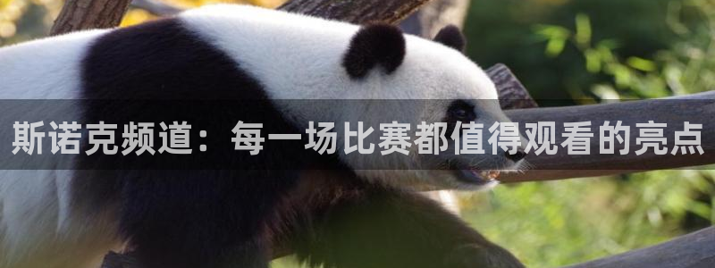 24直播网汇集nba直播吧 足球直播