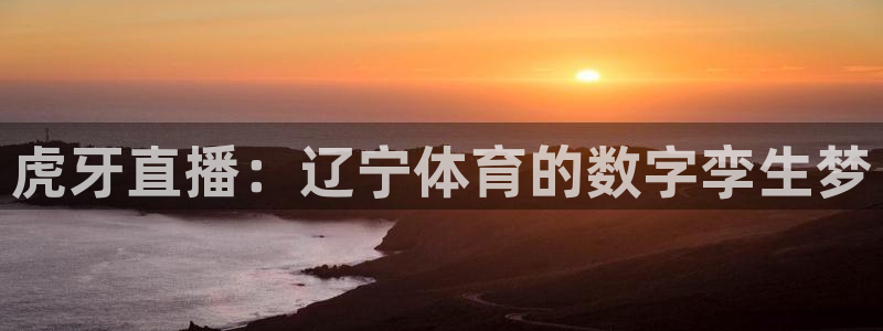 24直播网英超专区