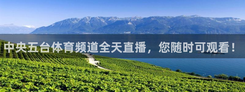 24直播网体育下载
